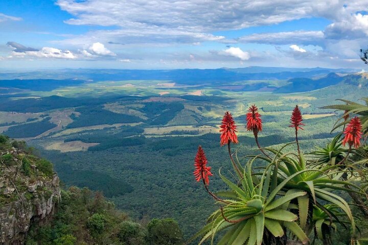 From Hazyview- Full Day Panoramic Tour