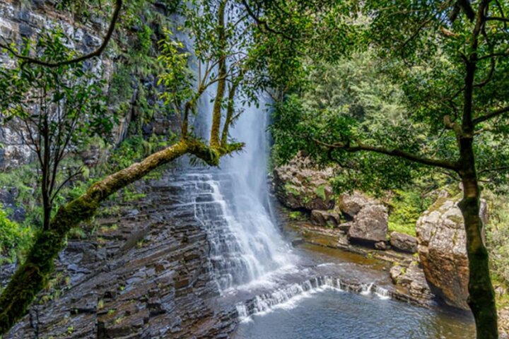 From Hazyview- Full Day Panoramic Tour