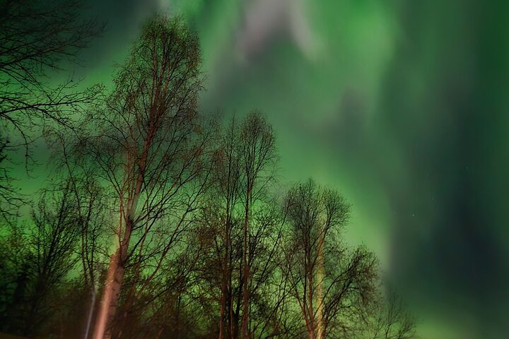 Fire & Ice: Chena Hot Springs, Ice Museum + Aurora Adventure