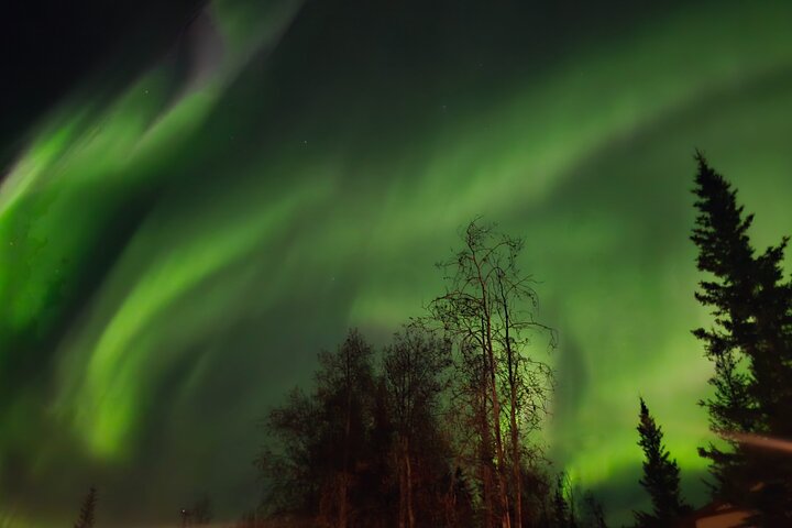 Fire & Ice: Chena Hot Springs, Ice Museum + Aurora Adventure