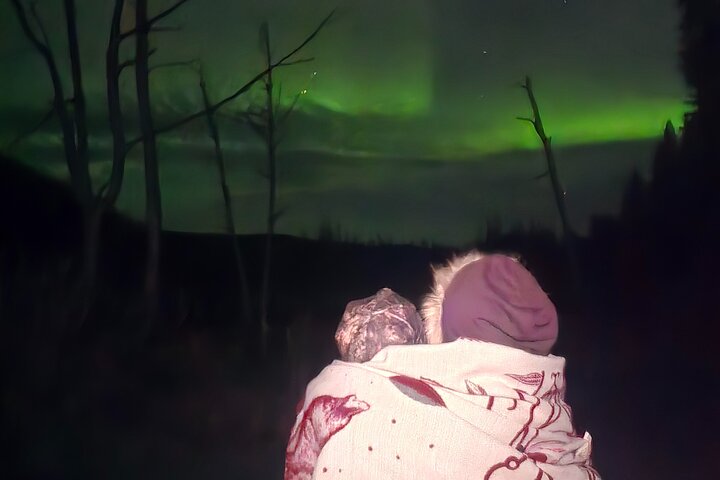 Fire & Ice: Chena Hot Springs, Ice Museum + Aurora Adventure