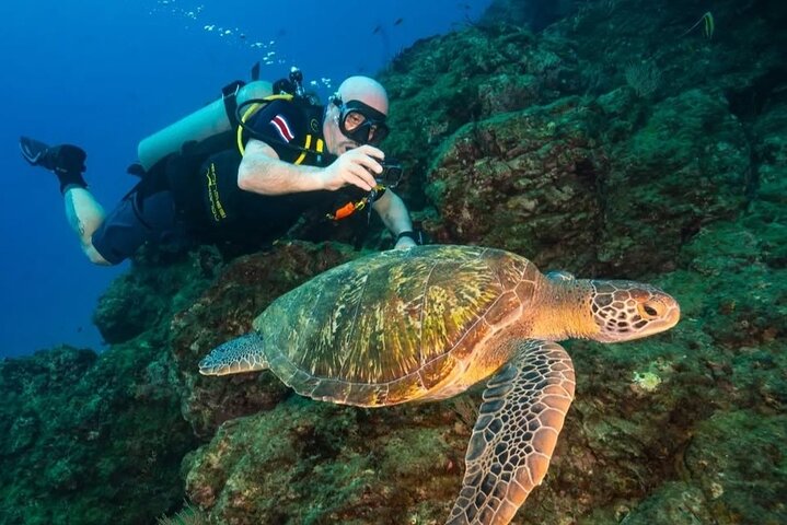 Diving tour in Isla del Caño for certified divers