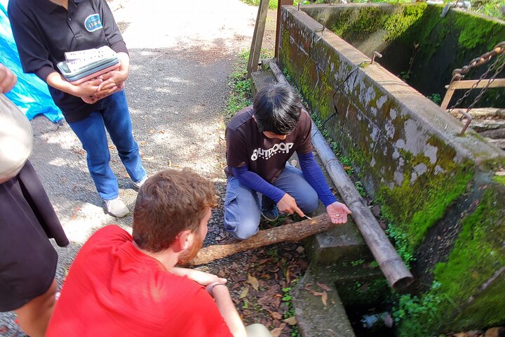 Oita: Shiitake Mushroom Farm Tour & Tasting