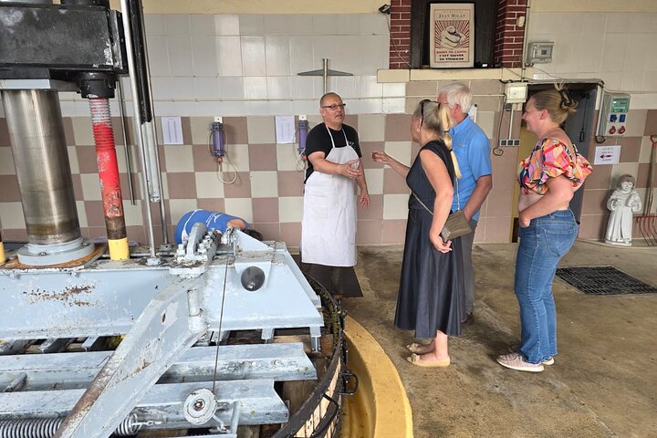 Epernay South Half Day Visit and Champagne Tastings