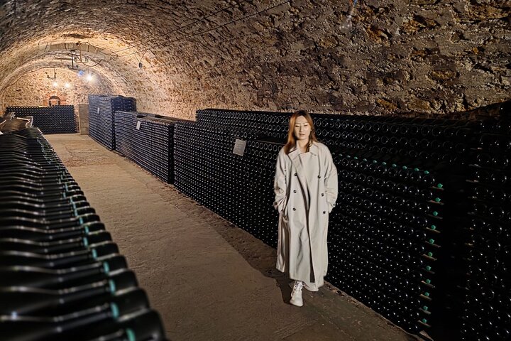 Epernay South Half Day Visit and Champagne Tastings