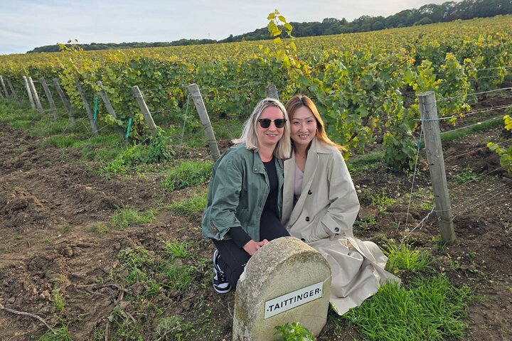 Epernay South Half Day Visit and Champagne Tastings