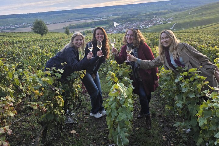 Epernay South Half Day Visit and Champagne Tastings