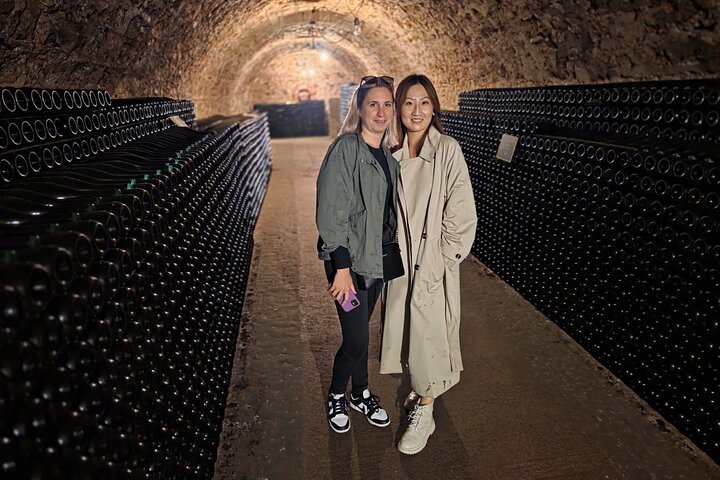 Epernay South Half Day Visit and Champagne Tastings