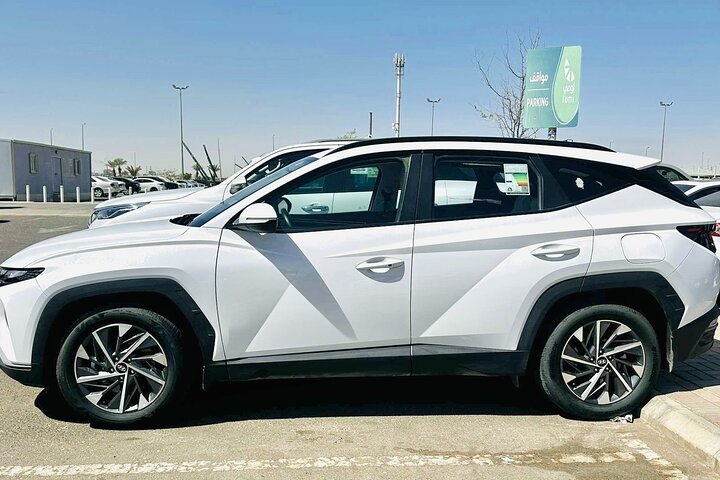 Tabuk Airport to AlUla Private Transfer