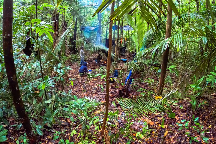 4 Days Deep Jungle Experience