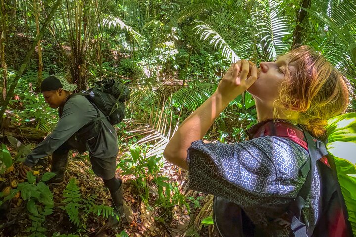 4 Days Deep Jungle Experience