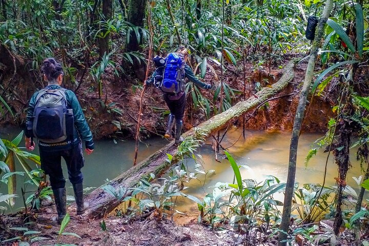 4 Days Deep Jungle Experience