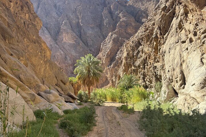 Full-Day Tour from Tabuk: Split Rock of Horeb & Mount Sinai