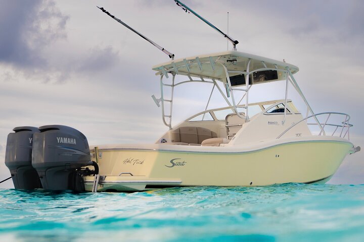 Private Boat Tours: Customize Your Grand Cayman Adventure!