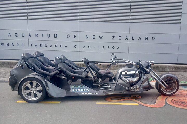 Scenic Te Mata Peak Tour by Supertrike