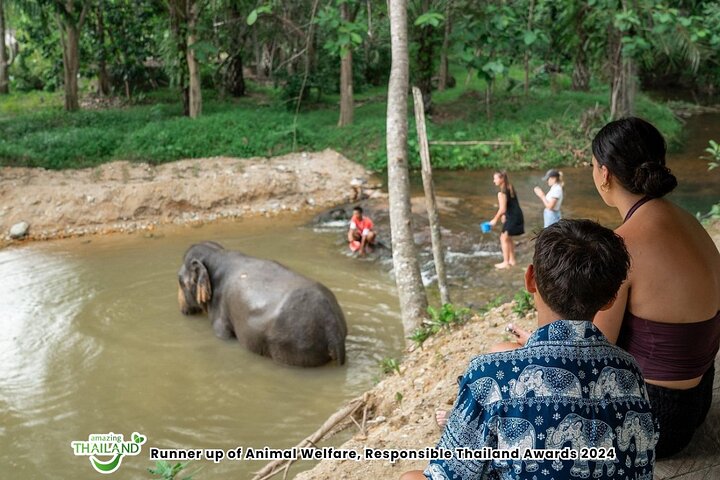 Khao Lak Elephant Sanctuary Walk with Hotel Transfer – 2 Hours