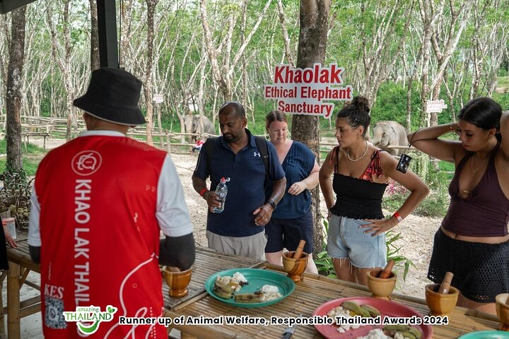 Khao Lak Elephant Sanctuary Walk with Hotel Transfer – 2 Hours