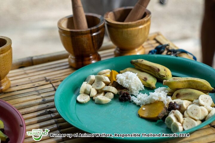 Khao Lak Elephant Sanctuary Walk with Hotel Transfer – 2 Hours