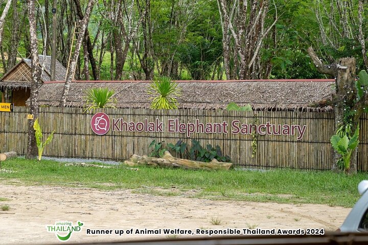 Khao Lak Elephant Sanctuary Walk with Hotel Transfer – 2 Hours