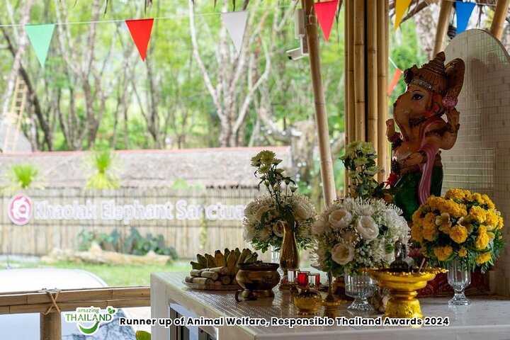Khao Lak Elephant Sanctuary Walk with Hotel Transfer – 2 Hours