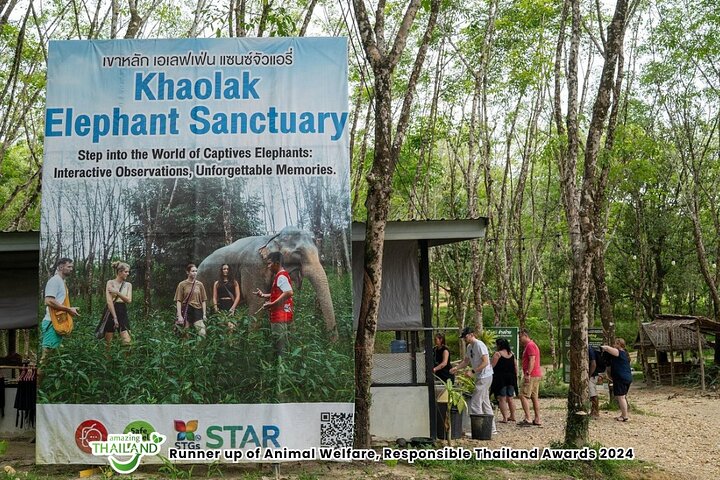 Khao Lak Elephant Sanctuary Walk with Hotel Transfer – 2 Hours