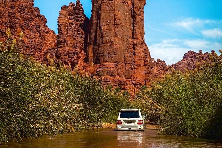 Wadi Al Disah Canyon Experience Scenic Day Tour from Tabuk