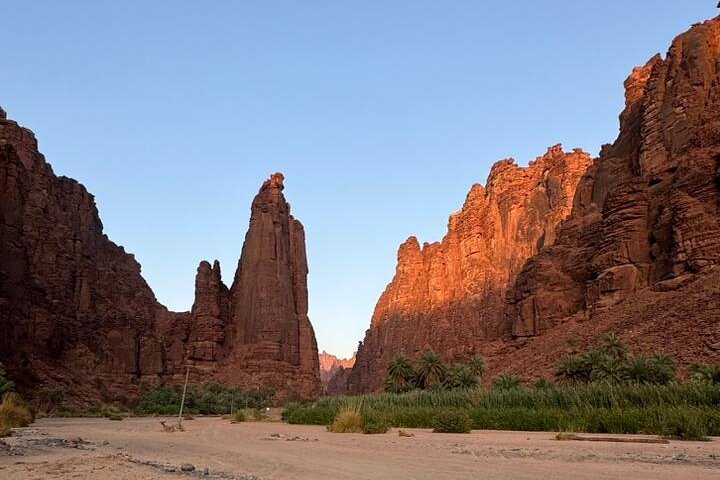 Wadi Al Disah Canyon Experience Scenic Day Tour from Tabuk