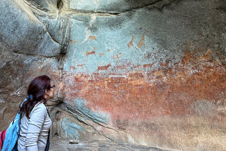 Full-Day Matobo Rhino Tracking & Rock Art from Bulawayo