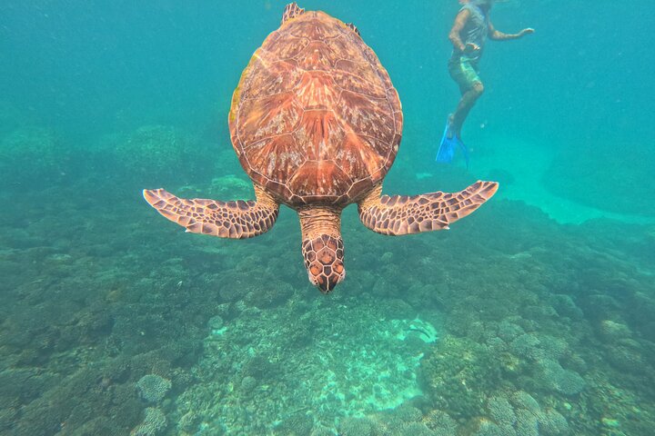 Daymaniyat Islands - Turtle Snorkel & Kayak Adventure
