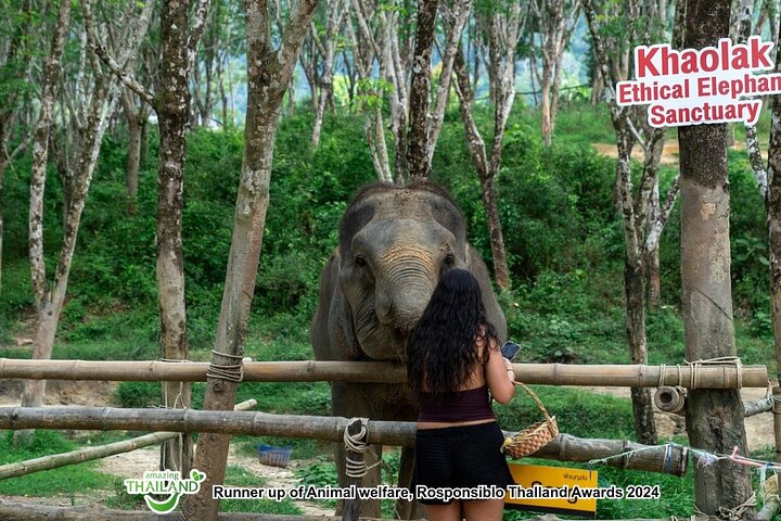 Khao Lak Ethical Elephant Sanctuary Full-Day Small Group Tour