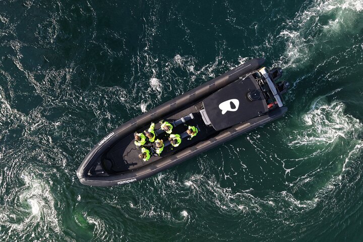 Zodiac Experience Saltstraumen and Eagle Safari