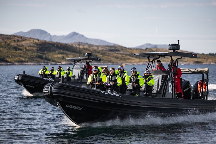 Zodiac Experience Saltstraumen and Eagle Safari