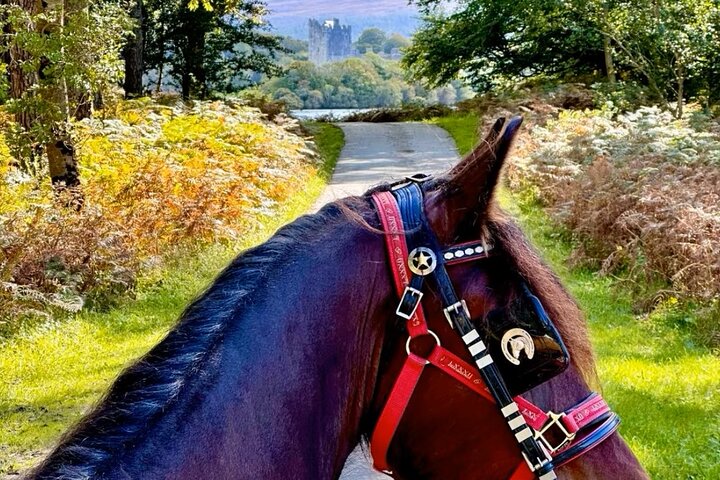 Killarney National Park Tour