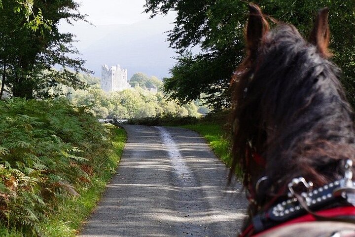 Killarney National Park Tour