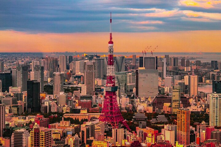 Private and Customisable Tokyo Tour with English-Speaking Driver
