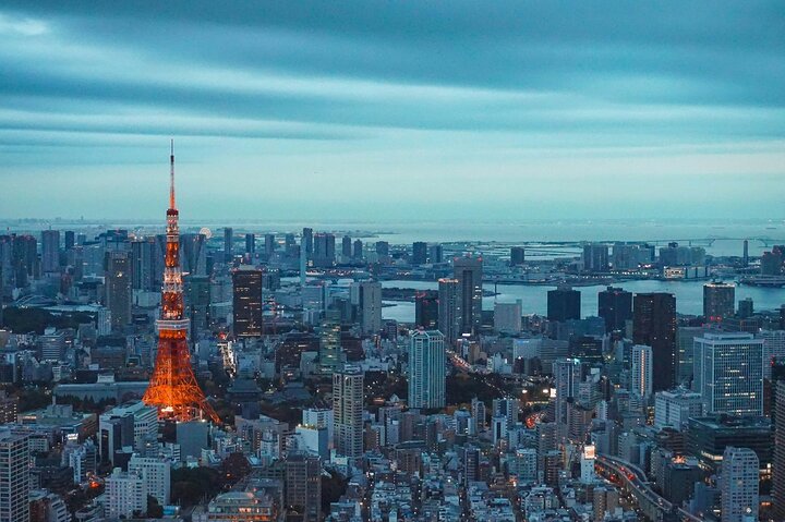 Private and Customisable Tokyo Tour with English-Speaking Driver