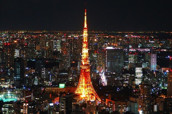 Private and Customisable Tokyo Tour with English-Speaking Driver