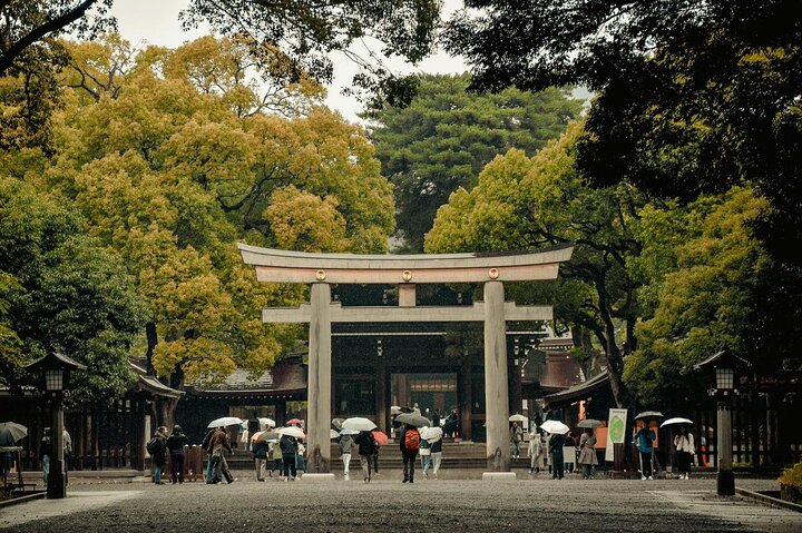 Private and Customisable Tokyo Tour with English-Speaking Driver