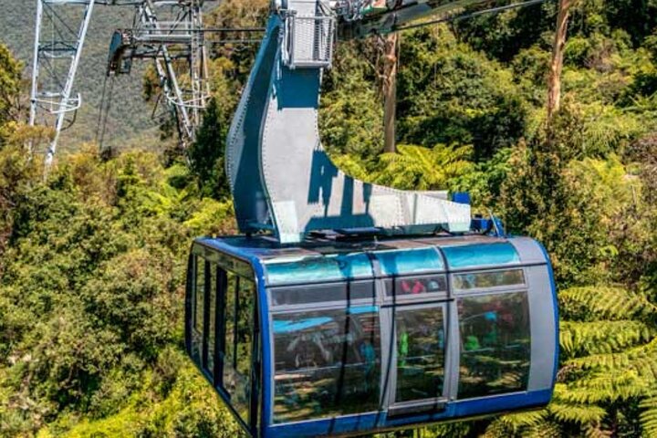 Blue Mountains Tour: Deluxe Small Group, ScenicWorld, Featherdale