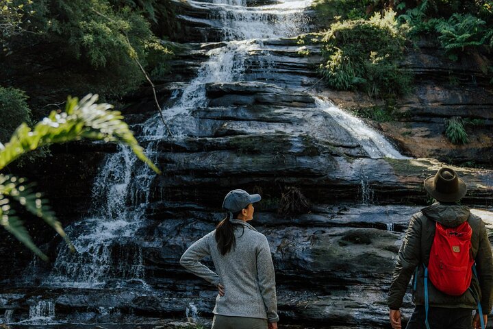 Blue Mountains Tour: Deluxe Small Group, ScenicWorld, Featherdale