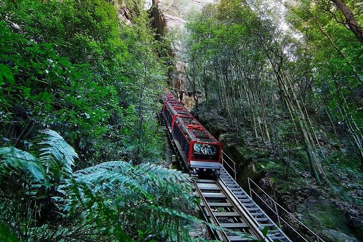 Blue Mountains Tour: Deluxe Small Group, ScenicWorld, Featherdale