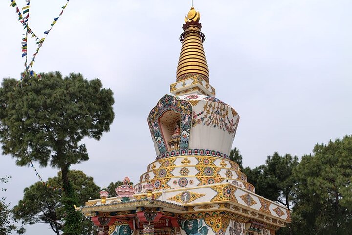 Guided Day Tour to Bir – Monasteries,Temple & Tea Garden Visit
