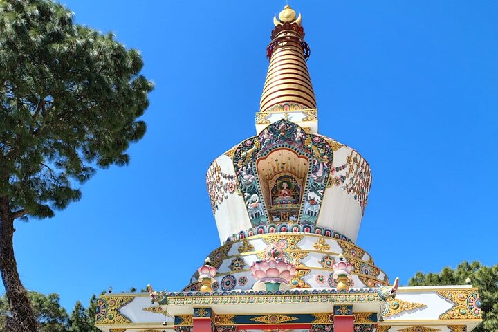 Guided Day Tour to Bir – Monasteries,Temple & Tea Garden Visit