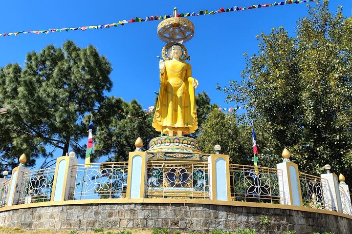 Guided Day Tour to Bir – Monasteries,Temple & Tea Garden Visit
