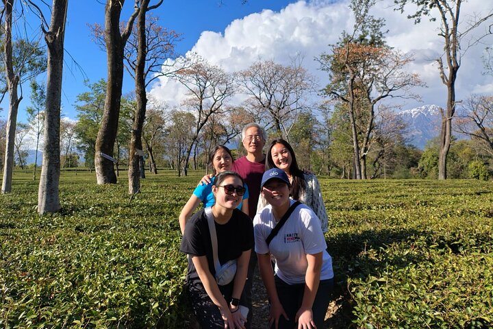 Guided Day Tour to Bir – Monasteries,Temple & Tea Garden Visit