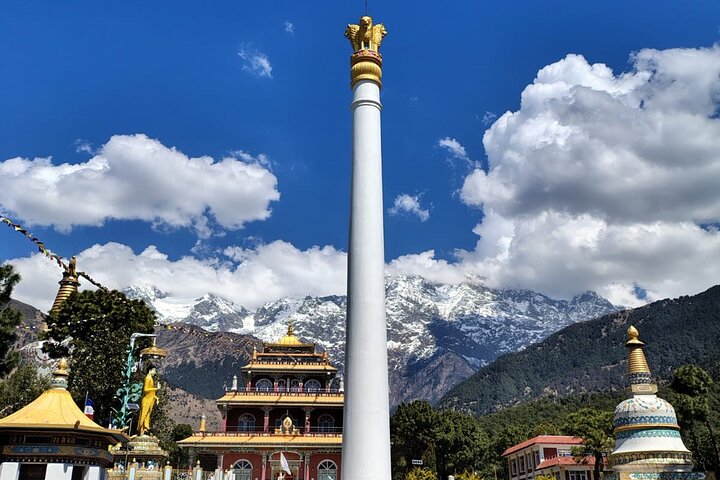 Guided Day Tour to Bir – Monasteries,Temple & Tea Garden Visit