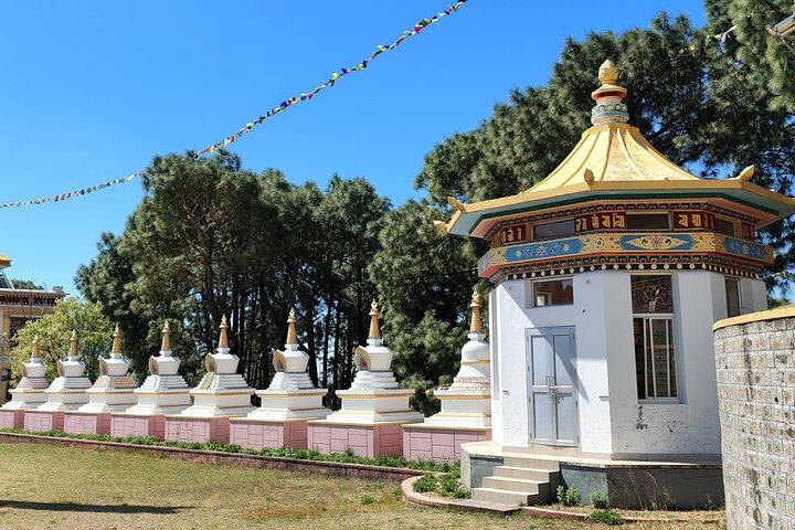 Guided Day Tour to Bir – Monasteries,Temple & Tea Garden Visit