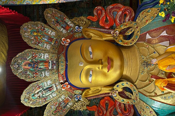 Guided Day Tour to Bir – Monasteries,Temple & Tea Garden Visit