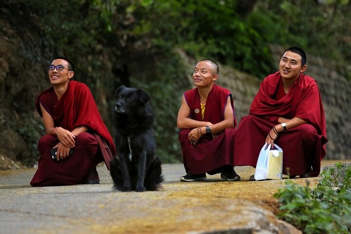Guided Day Tour to Bir – Monasteries,Temple & Tea Garden Visit