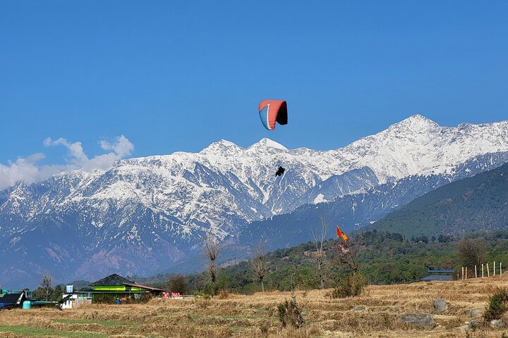 Guided Day Tour to Bir – Monasteries,Temple & Tea Garden Visit